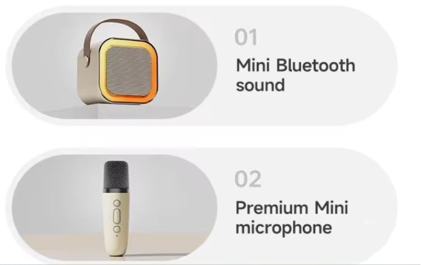 Sanvas One K12 Wireless Karaoke Speaker